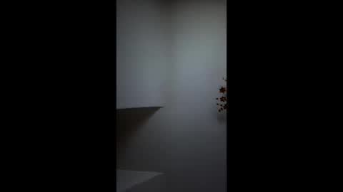 boris96213 online show from 06.04.26