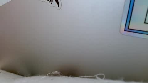 Rue online show from 12.18.24