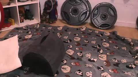 Snapshot of bouncinbooty chatting on 04.10.26 Pumpkin Butt online show from 04.10.26