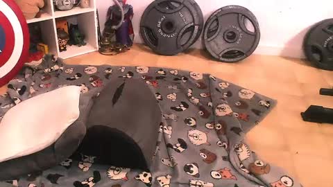 Snapshot of bouncinbooty chatting on 04.11.26 Pumpkin Butt online show from 04.11.26