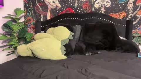 Snapshot of boysdroollx chatting on 09.22.25 Puddin online show from 09.22.25