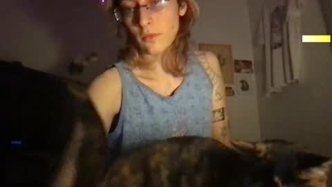 boywithbug online show from 03.11.25