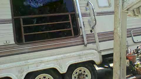 Snapshot of bpdbrittany chatting on 02.09.25 bpdbrittany online show from 02.09.25