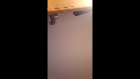 brandon281997 online show from 04.01.26