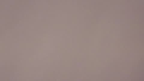 Snapshot of brandy_collinss chatting on 01.17.26 Brandy online show from 01.17.26