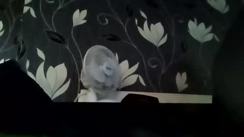 PB9944 online show from 09.14.25