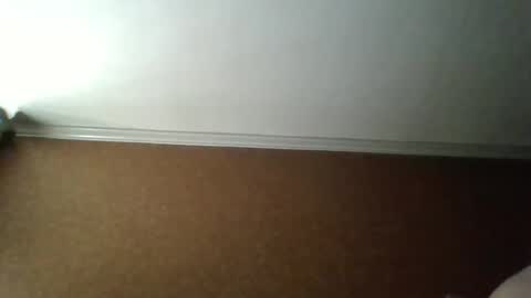 Snapshot of bri31673 chatting on 11.04.25 bri31673 online show from 11.04.25