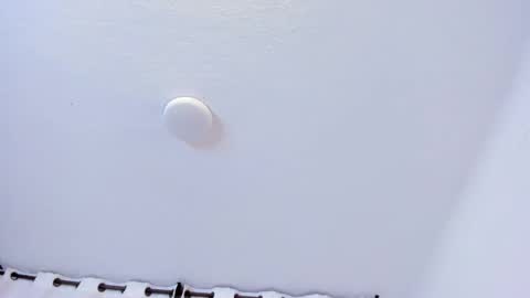 Brittany  online show from 02.21.26