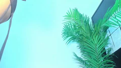 BRIYIT     online show from 01.10.25