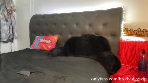 Brody Biggs online show from 01.09.26