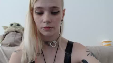 brookewylde_20 online show from 07.04.26