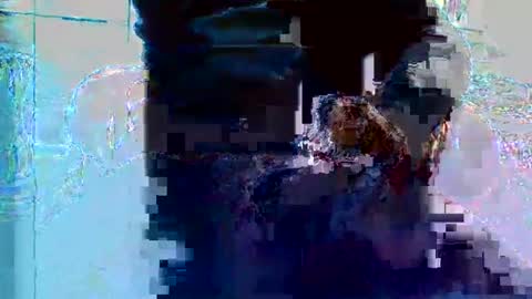 bruno5629 online show from 11.27.25