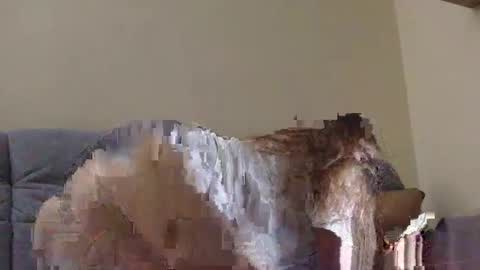 Snapshot of brutecia chatting on 09.16.25 brutecia online show from 09.16.25