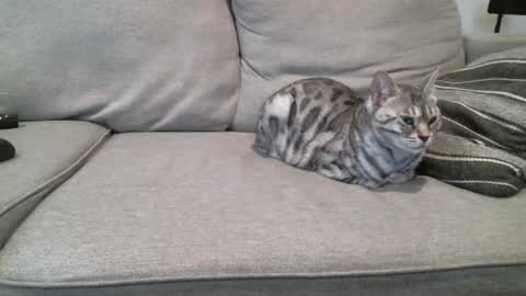 Snapshot of buck_camstar chatting on 03.03.25 Buck online show from 03.03.25