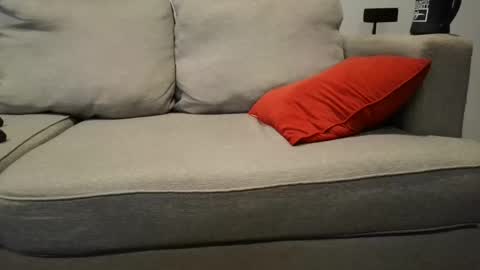 Snapshot of buck_camstar chatting on 09.23.25 Buck online show from 09.23.25