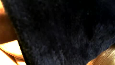 Snapshot of buck_shot chatting on 03.15.26 Buck online show from 03.15.26