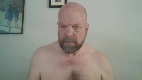 bulldog302w online show from 06.05.26