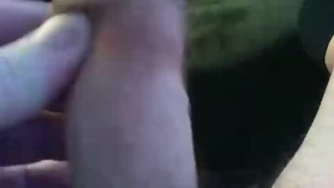 bullemoe online show from 01.09.25