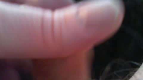 bullemoe online show from 02.15.26