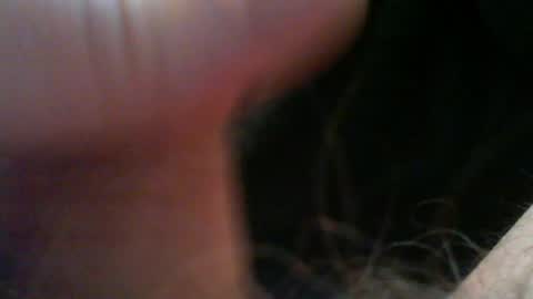 bullemoe online show from 04.16.26