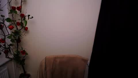 Ariel online show from 03.20.26