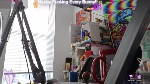 Snapshot of bunnycheekz chatting on 01.16.25 Tokki bunny online show from 01.16.25