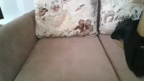 burak20x online show from 10.30.25