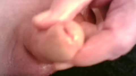 Hamish online show from 01.11.25