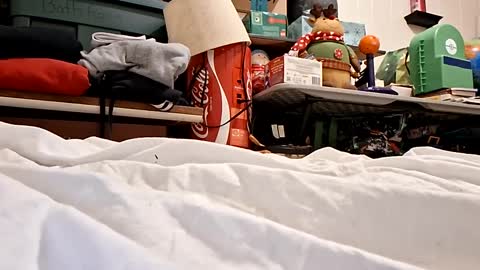 bushdoctor1 online show from 09.23.25