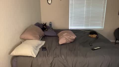 Pocket Daddy cockring gaycouple cockring lovense daddy online show from 05.19.26