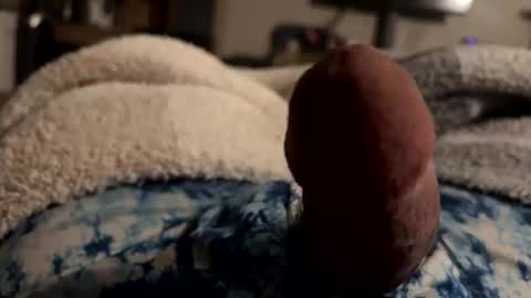 byrdbean online show from 01.17.26