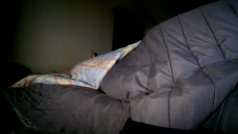 bzxxbzh online show from 04.15.26