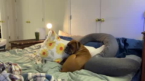 c2cmee online show from 03.09.26