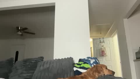 CaliCreamDaddy online show from 05.25.26