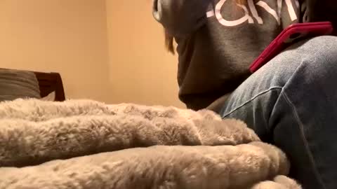 calishop1 online show from 12.11.24