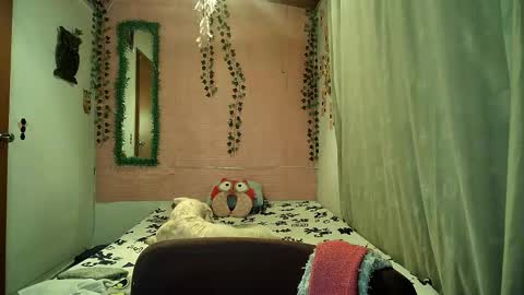 paula online show from 02.06.26