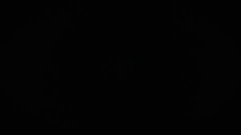 Charly online show from 04.02.26