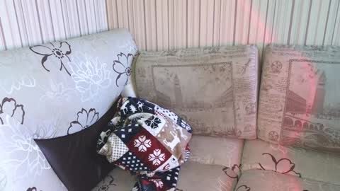 Snapshot of cameron_crowly chatting on 01.17.25 Cameron online show from 01.17.25