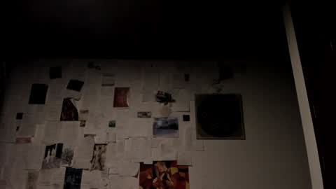  Camille   online show from 01.20.25