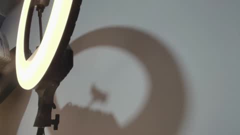 CAMILO  online show from 03.15.26