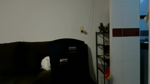 Snapshot of camiloex chatting on 10.15.25 Camilo online show from 10.15.25