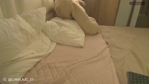 Laura Camila online show from 01.18.26