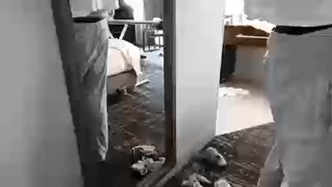 cammyman6900 online show from 03.25.26