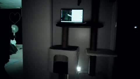 Snapshot of cammyman6900 chatting on 07.27.26 cammyman6900 online show from 07.27.26