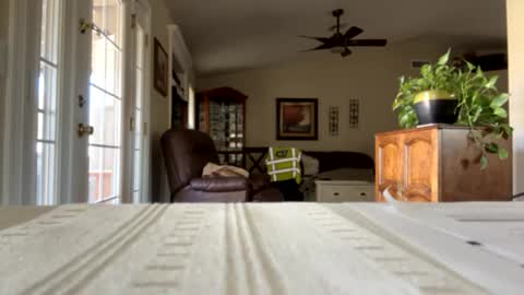 james online show from 01.30.25