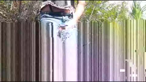 Candi Cakes online show from 03.04.26