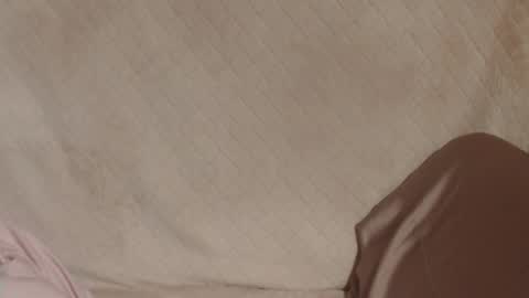 say meow and send tip  online show from 03.31.26