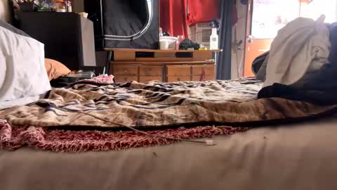 Bbc always ready balls insta bmac capone online show from 11.28.25