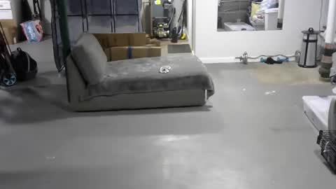 Carl online show from 06.04.26