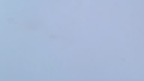 caro online show from 02.16.26